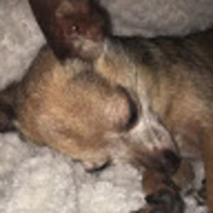 Meet your Posher, Eliisa